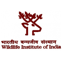 WII Recruitment 2022 – Apply E-mail 58 Posts for Associate